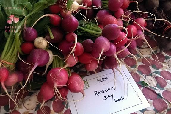 The Andover Massachusetts Farmers' Market offers educational programming and promotes healthy eating, local economies, sustainability, and community spirit by providing fresh, local produce, baked and prepared foods, as well as hand-crafted goods. Find Fresh Local Produce at the Andover Massachusetts Farmers Market
