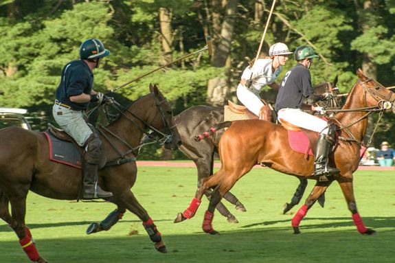Polo at Myopia Hunt Club | North Shore Kid and Family Fun in Massachusetts for North Shore Polo at Myopia Hunt Club | North Shore Kid and Family Fun in Massachusetts for North Shore
