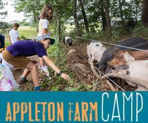 Appleton Farms in Ipswich Massachusetts offers farm-based Summer Programs for kids ages 5-15