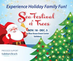 Sea Festival of Trees at Blue Ocean Event Center Salisbury MA