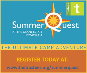Day camp at the Trustees of Reservations Crane Estate in Ipswich, Massachusetts