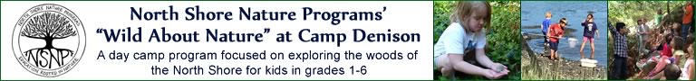North Shore Nature Programs at Camp Denison in Georgetown Massachusetts