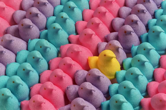 Manchester Public Library programs host their annual Easter marshmallow Peep show