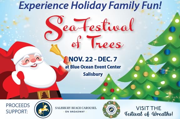 Browse our maze of festively decorated trees and enjoy a little holiday sparkleat the SeaFestival of Trees in Salisbury Massachusetts