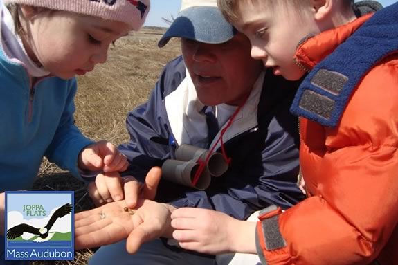 Lisa Hutchings of Mass Audubon Joppa Flats Education Center teaches children with hands-on activities! 