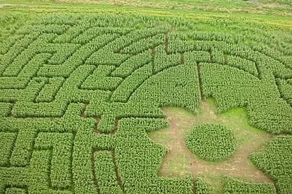 The Lost Challenges - Yearly Challenges: Corn Mazes Showing 1-50