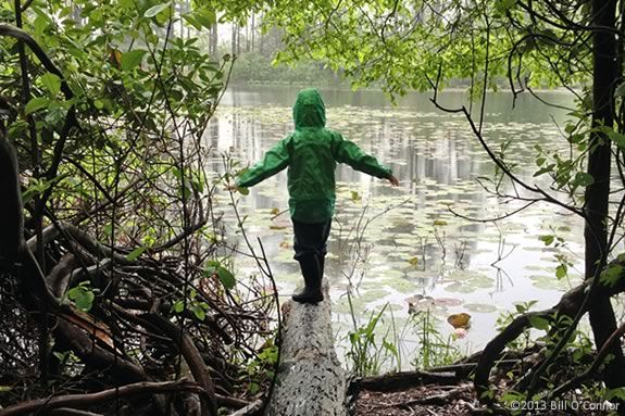 Kids will learn about nature through story, a hike and art at Ipswich River Wildlife Sanctuary.