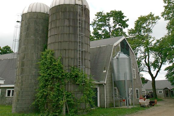 Discover the uniquesness of Appleton Farms on this guided tour courtesy of Trails and Sails Witness the rhythms and relics of New England's oldest working farm.