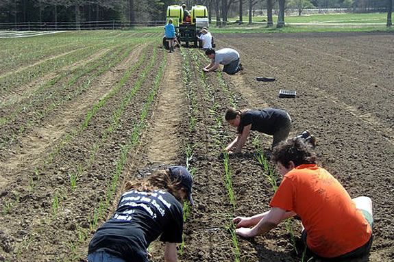 Appleton #39 s April Vacation Farmhands Crew North Shore Kid and Family