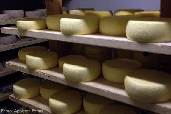 Families will learn to make farm fresh cheeses at Appleton Farms in Ipswich, MA