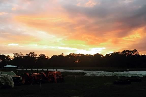 Explore The Trustees of Reservations Appleton Farms and learn about what the creatures of the habitat as night falls!