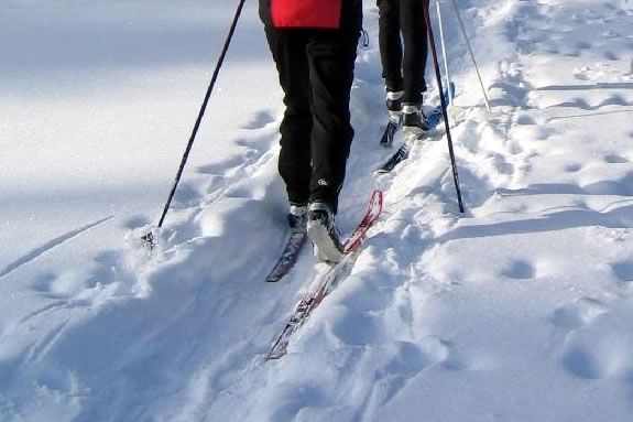 Explore The Trustees of Reservations Appleton Farms in Ipswich Massachusetts on Skis! Explore The Trustees of Reservations Appleton Farms in Ipswich on Skis!