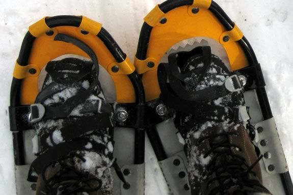 Learn  Snow Shoeing Basics at The Trustees of Reservations' Appleton Farms in Ipswich! 