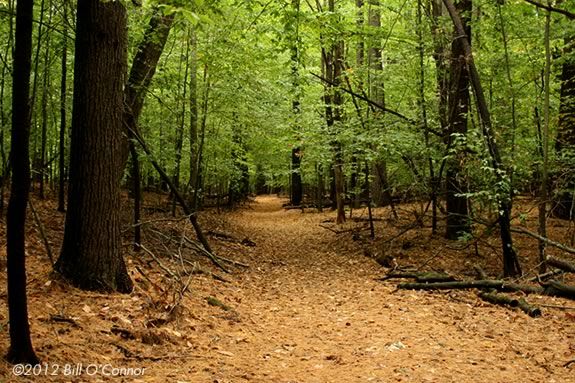Join Mass Audubon naturalists on a hike some of the less travelled trails at IRWS.