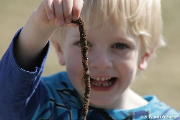Kids will explore the IRWS and find out what lives in the soil there!