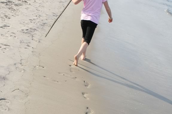 Explore the beach and shore habitats of Mass Audubon's Eastern Point Reserve