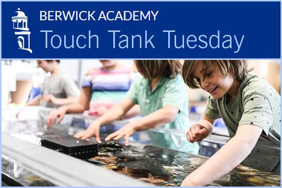 Berwick Academy for grades PreK to 12 in Berwick Maine Berwick Academy for grades PreK to 12 in Berwick Maine