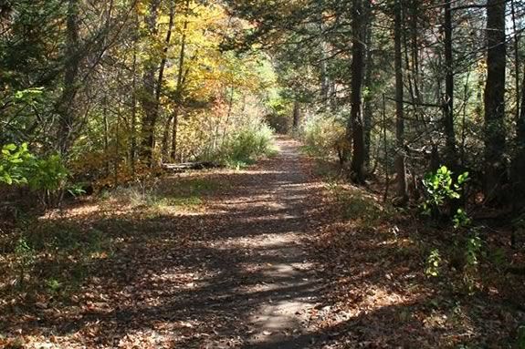 The Beverly Commons Trail Run benefits the Essex County Greenbelt Association