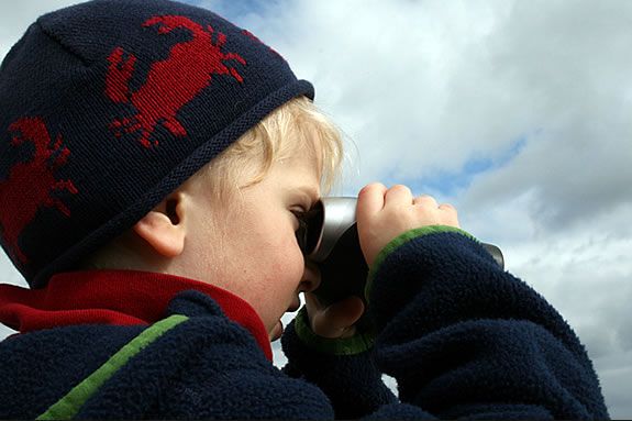 You and your child can learn the basics of birding at Halibut Point State Park