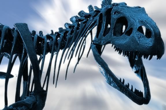 Beverly Library invites kids to explore the world of fossils and dinosaurs! 