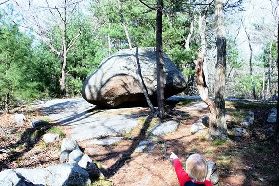 Giant boulders can be found all over Ravenswood Park. How'd they get there? Find out at this guided walk through Ravenswood! Giant boulders can be found all over Ravenswood Park. How'd they get there?