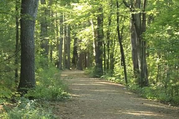 Explore the history of Breakheart Reservation while learning about the stone artifacts found on site. 