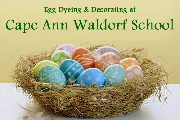 Celebrate Spring by syeing eggs with your family at the Cape Ann Waldorf School 