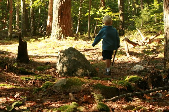 Discover the natural treasures that Ravenswood park offers up in Gloucester, MA