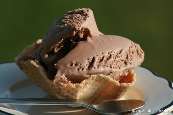 Come celebrate national chocolate ice cream day at Abbot Library!