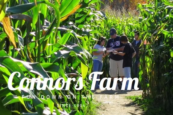 Corn MAiZE, Maze and Haunted Attractions at Connors Farm - Danvers, Massachusetts