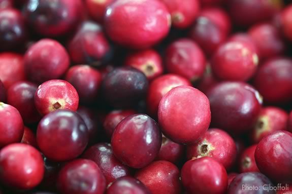 Come to the Crane Estate for a cranberry workshop! 