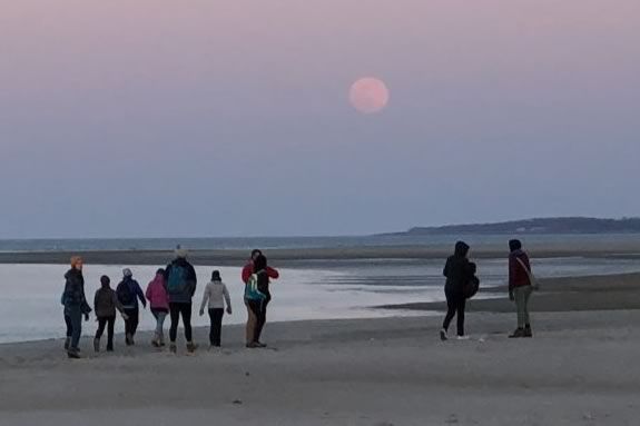 Walk through the Crane Wildlife Refuge with the Trustees under the full moon.