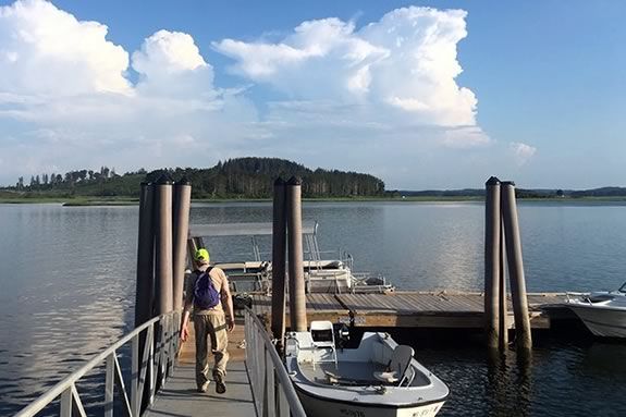 Take in beautiful views of the Crane Wildlife Refuge while learning about estuary flora and fauna and environmental conditions at the Crane Boat Dock.