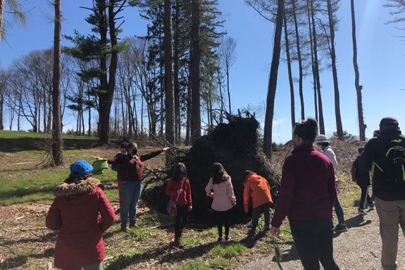 Families are invited to join us for a celebration of all things arboreal, on a guided hike through the Castle hill grounds in Ipswich Massachusetts