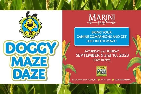 Marini Farm in Ipswich is teaming up with the Ipswich Humane Group to host a Doggy Maze Daze Fundraiser.