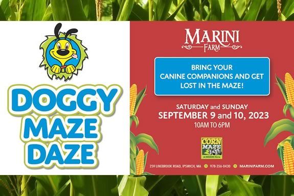 Marini Farm in Ipswich is teaming up with the Ipswich Humane Group to host a Doggy Maze Daze Fundraiser. Marini Farm in Ipswich is teaming up with the Ipswich Humane Group to host a Doggy Maze Daze Fundraiser.