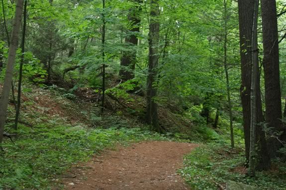 Come learn the trails of Linebrook Woods with ECGA during Trails & Sails 2019