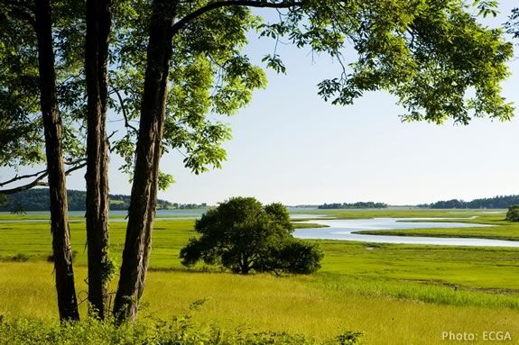Take a paddle on the Essex River with the Essex County Greenbelt Association! Take a paddle on the Essex River with the ECGA!