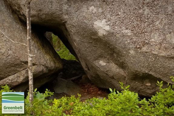 Take a hike at ECGA's Thompson Street Reservation in Gloucester with Naturalists from the Joppa Flats Education Center