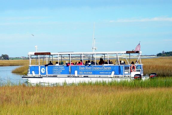 Take a guided tour of the Essex Marshes with Essex River Cruises and discover the abundance of wildlife that the marsh habitat supports with Trails & Sails! Take a guided tour of the Essex Marshes with Essex River Cruises for Trails & Sails