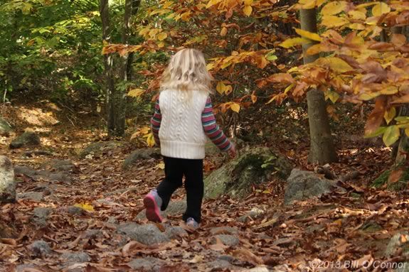 Kidleidoscope is a program designed for preschoolers at Bradley Palmer State Park Kidleidoscope is a program designed for preschoolers at Bradley Palmer State Park