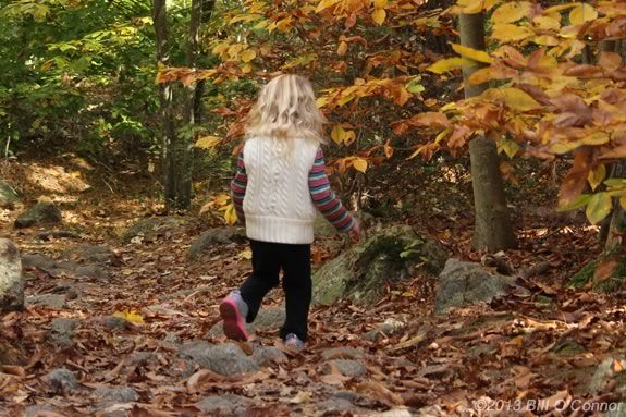 Walk the trails in a group at Harold Parker State Forest Every Wednesday at 10am