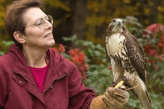 Bring your kids to the Hammond Castle Museum in Gloucester Massachusetts for a live falconry presentation Bring your kids to the Hammond Castle Museum in Gloucester Massachusetts for a live falconry presentation