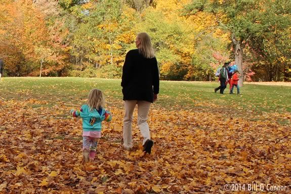 Enjoy and evening stroll with the park interpreter at Maudlsay State Park in Newburyport