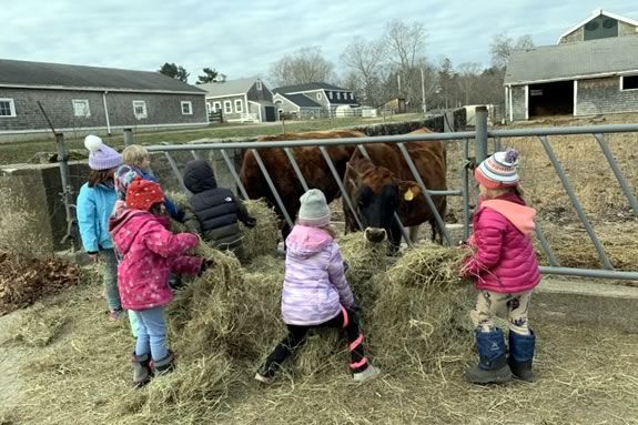 Join The Trustees of Reservations at Appleton Farms for our special, hands-on Family Farm Chores program held on Fridays, Saturdays & Sundays Join The Trustees of Reservations at Appleton Farms for our special, hands-on Family Farm Chores program held on Fridays, Saturdays & Sundays