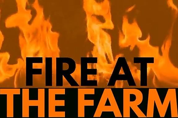 Join Peabody Recreation at Tillie's Farm in Peabody for the Annual Christmas Tree Bonfire! Join Peabody Recreation at Tillie's Farm in Peabody for the Annual Christmas Tree Bonfire!