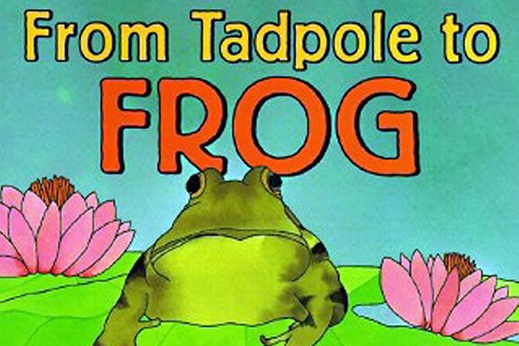 'From Tadpole to Frog' by Wendy Pfeffer and Illustrated by Holly Keller tells the story of a frog's life cycle. 'From Tadpole to Frog' by Wendy Pfeffer tells the story of a frog's life cycle.
