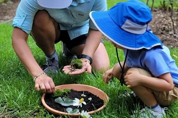 Long Hill Gardens in Beverly Massachusetts is a great place to learn about the nattural world and the creatures that live in it!