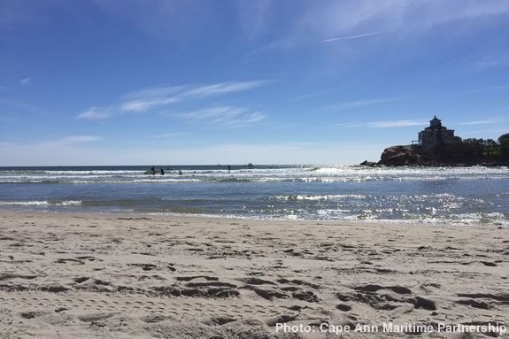 Annual COASTSWEEP Good Harbor Beach Fall cleanup hosted by Seaside Sustainability in Gloucester Massachusetts