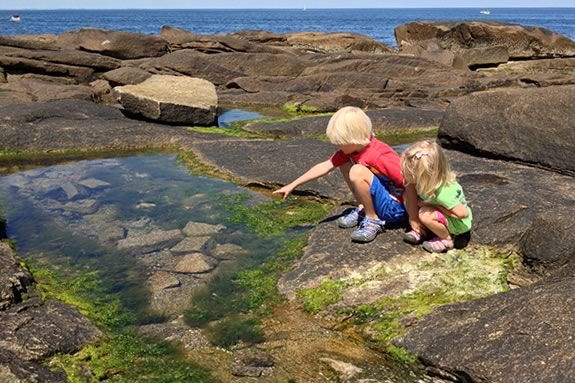 rocky shores and tidal pools